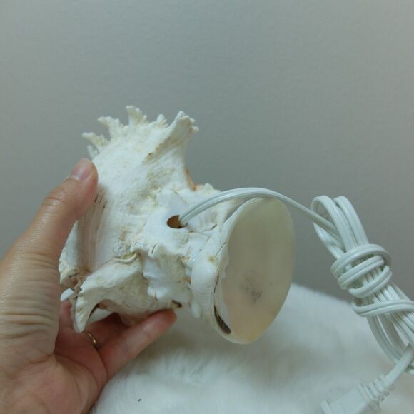 Seashell Lamp Night Light NWOT - Picture 5 of 10